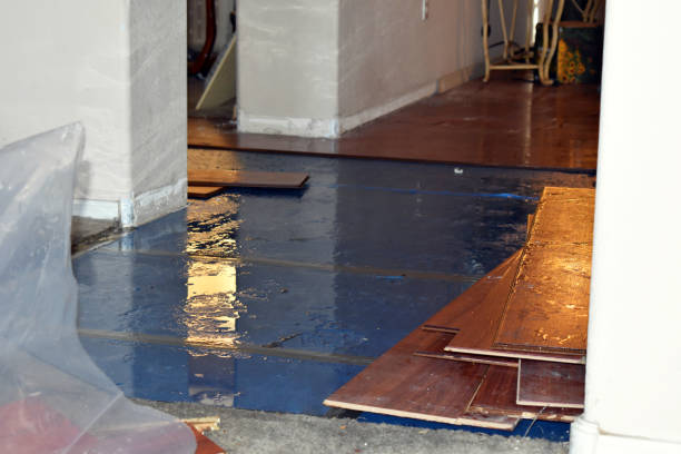 Professional Flood Cleanup technician working in Clayton, MO