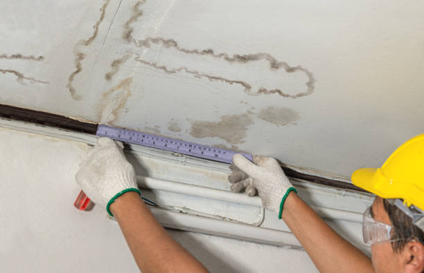 Reliable Flood Cleanup contractor in Clayton, MO by Water Damage Irwin